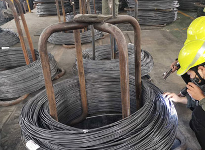 Deteksi penampilan-situs